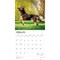 Belgian Malinois | 2026 12 x 24 Inch (Hanging) Monthly Square Wall Calendar | Plastic-Free